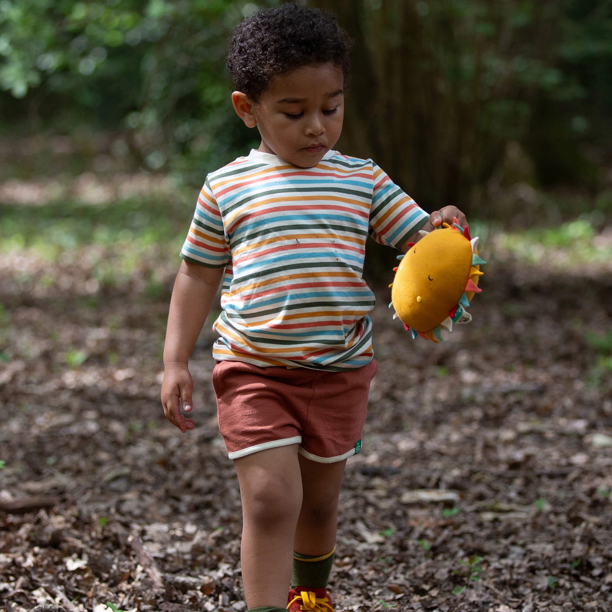 Rainbow Days Striped Short Sleeve T Shirt Multi / 7-8y