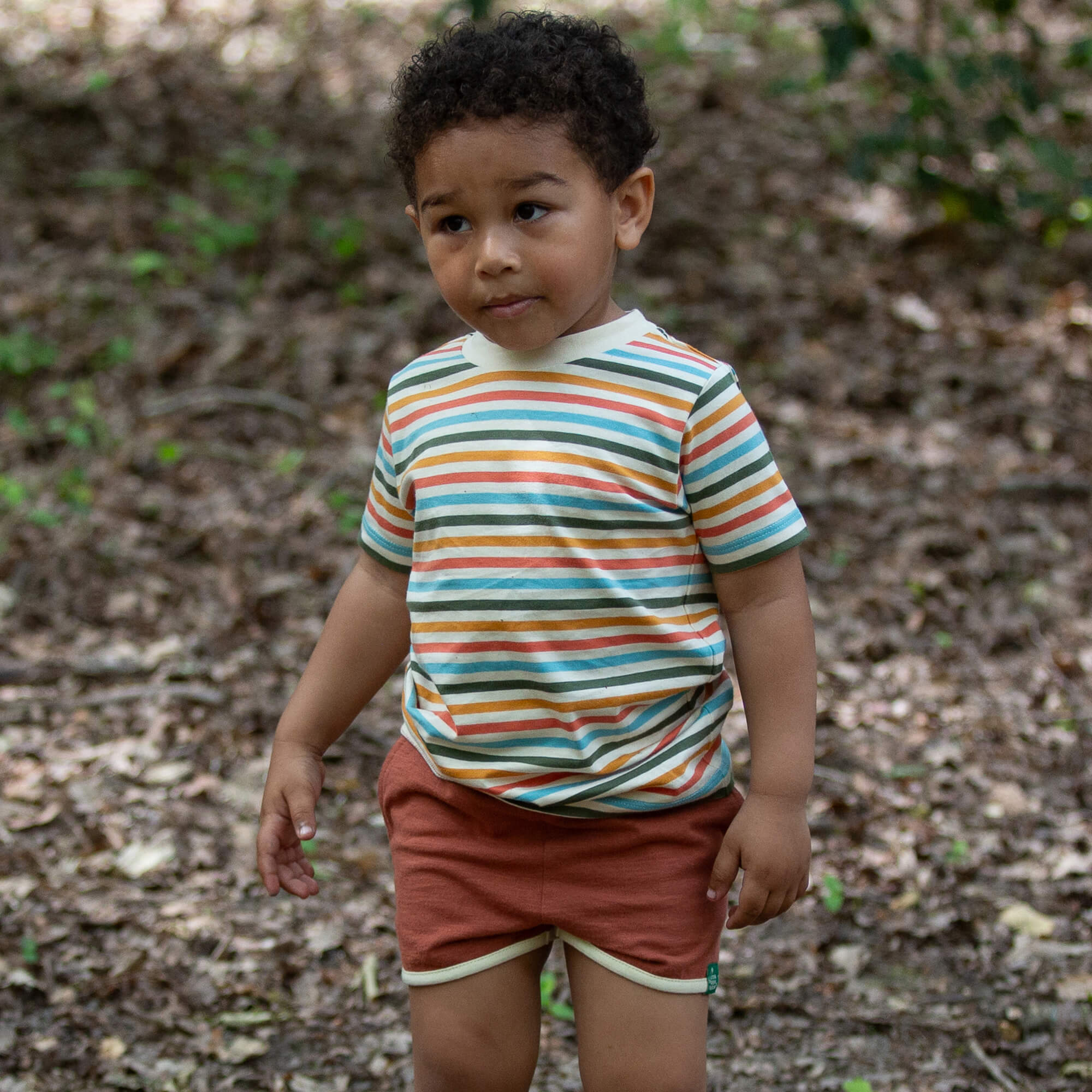 Rainbow Days Striped Short Sleeve T Shirt Multi / 7-8y