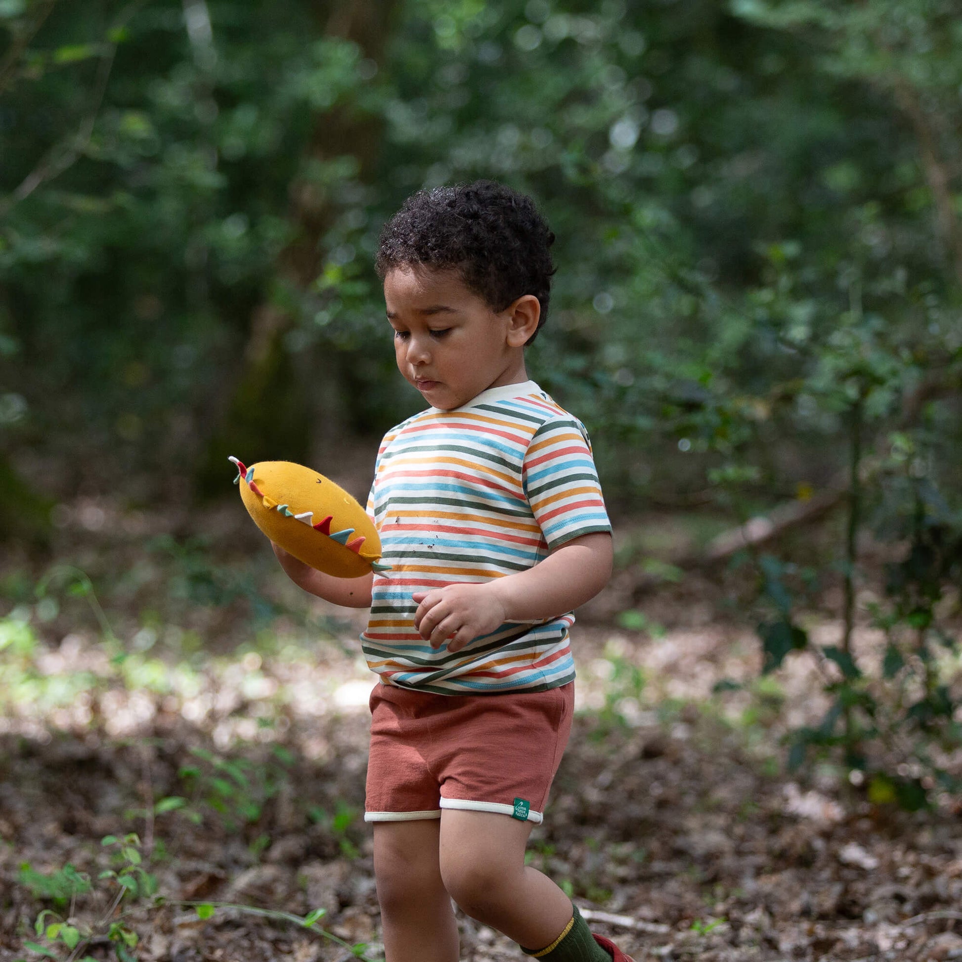 Rainbow Days Striped Short Sleeve T Shirt Multi / 7-8y