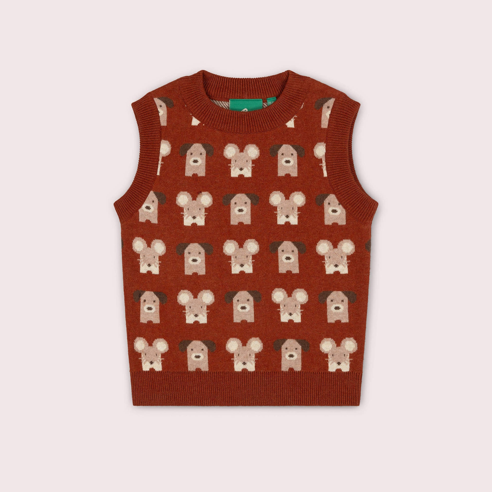 Pawfect Knitted Pullover Orange / 7-8y