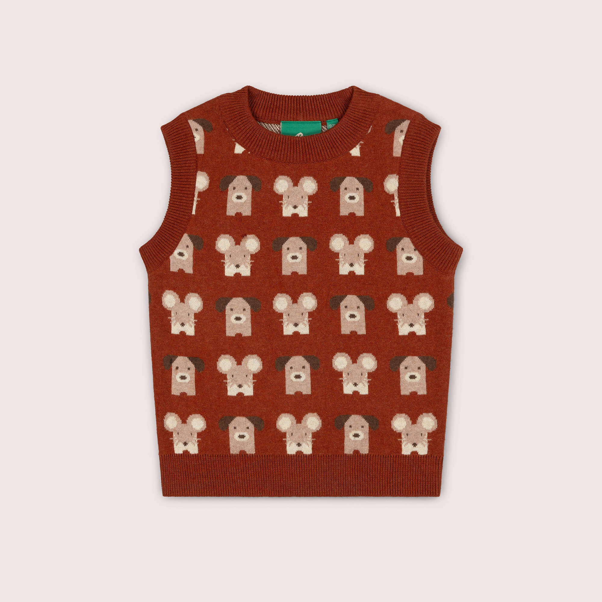 Pawfect Knitted Pullover Orange / 7-8y
