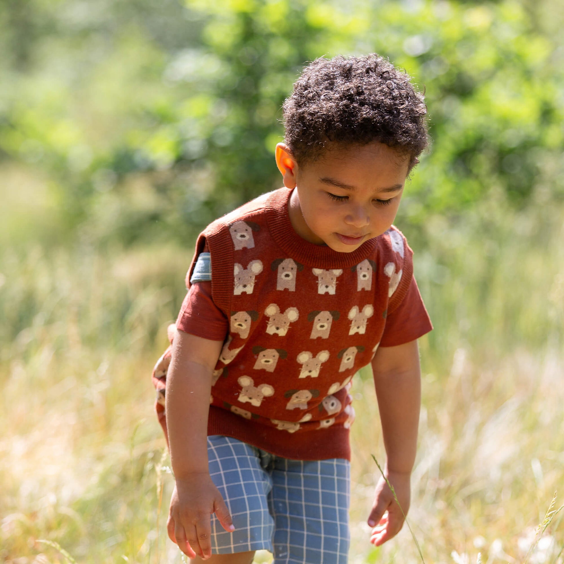 Pawfect Knitted Pullover Orange / 7-8y