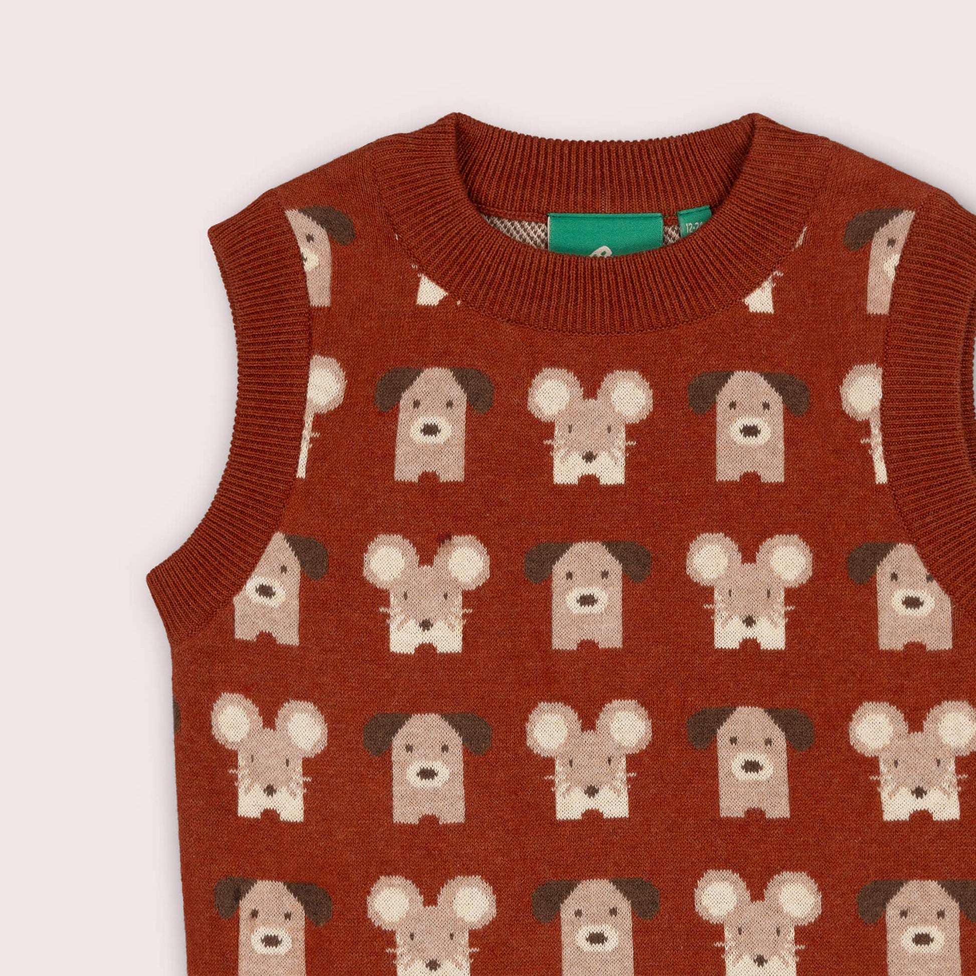 Pawfect Knitted Pullover Orange / 7-8y