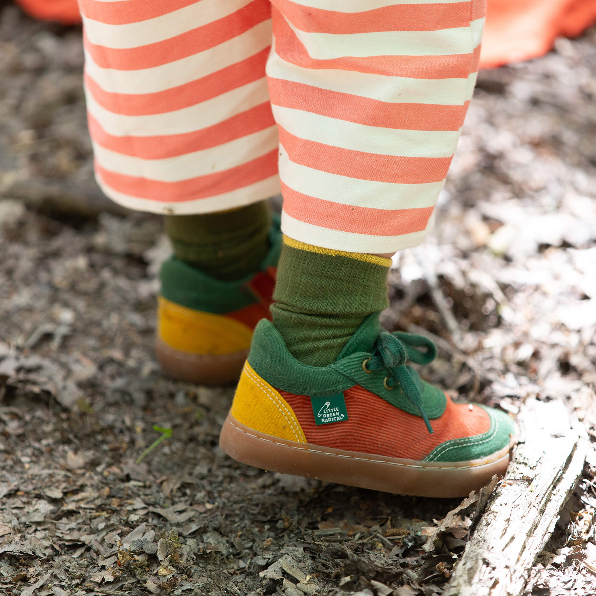 Red Colour Block Canvas Shoes Multi / UK 13/EU 32/USA 1