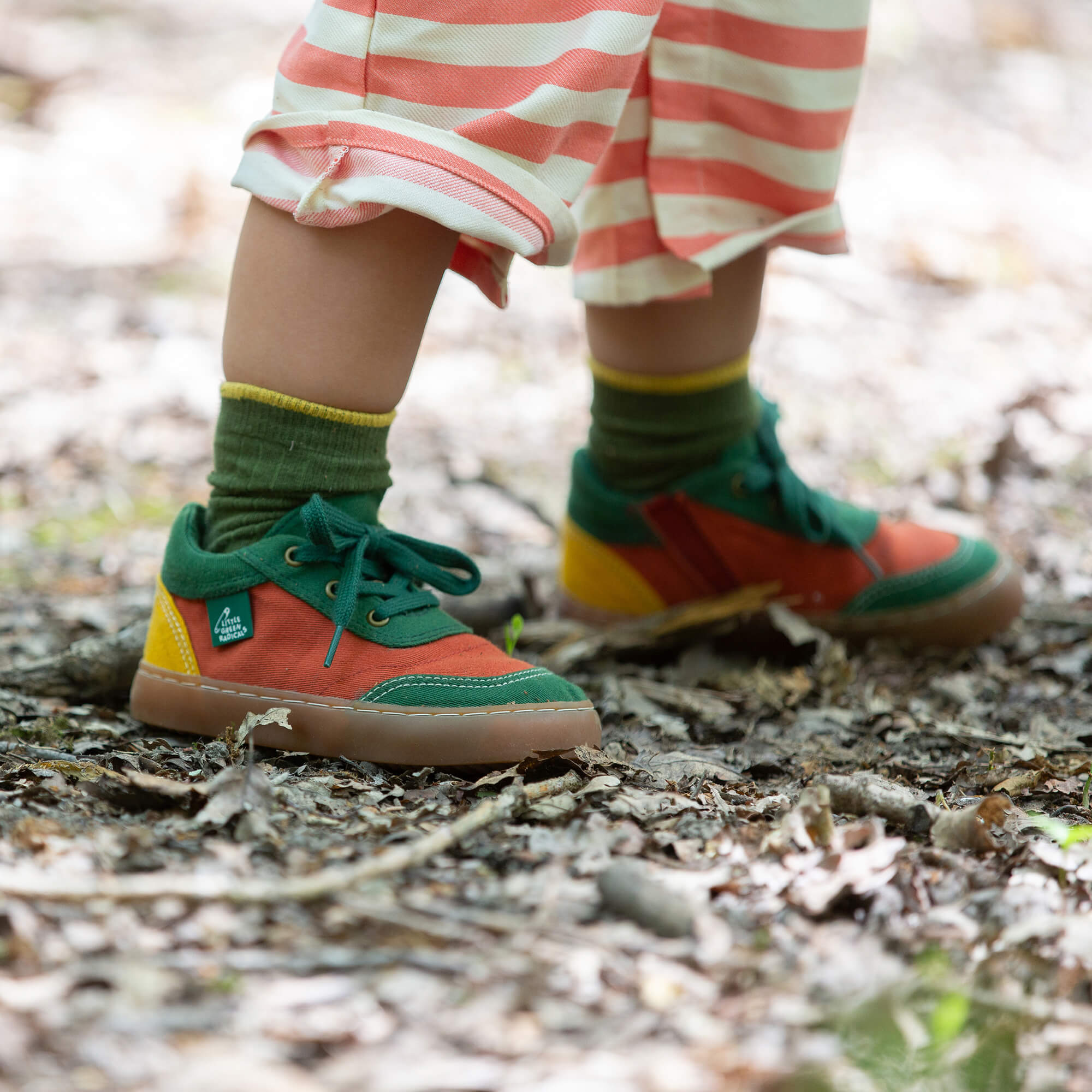 Red Colour Block Canvas Shoes Multi / UK 13/EU 32/USA 1