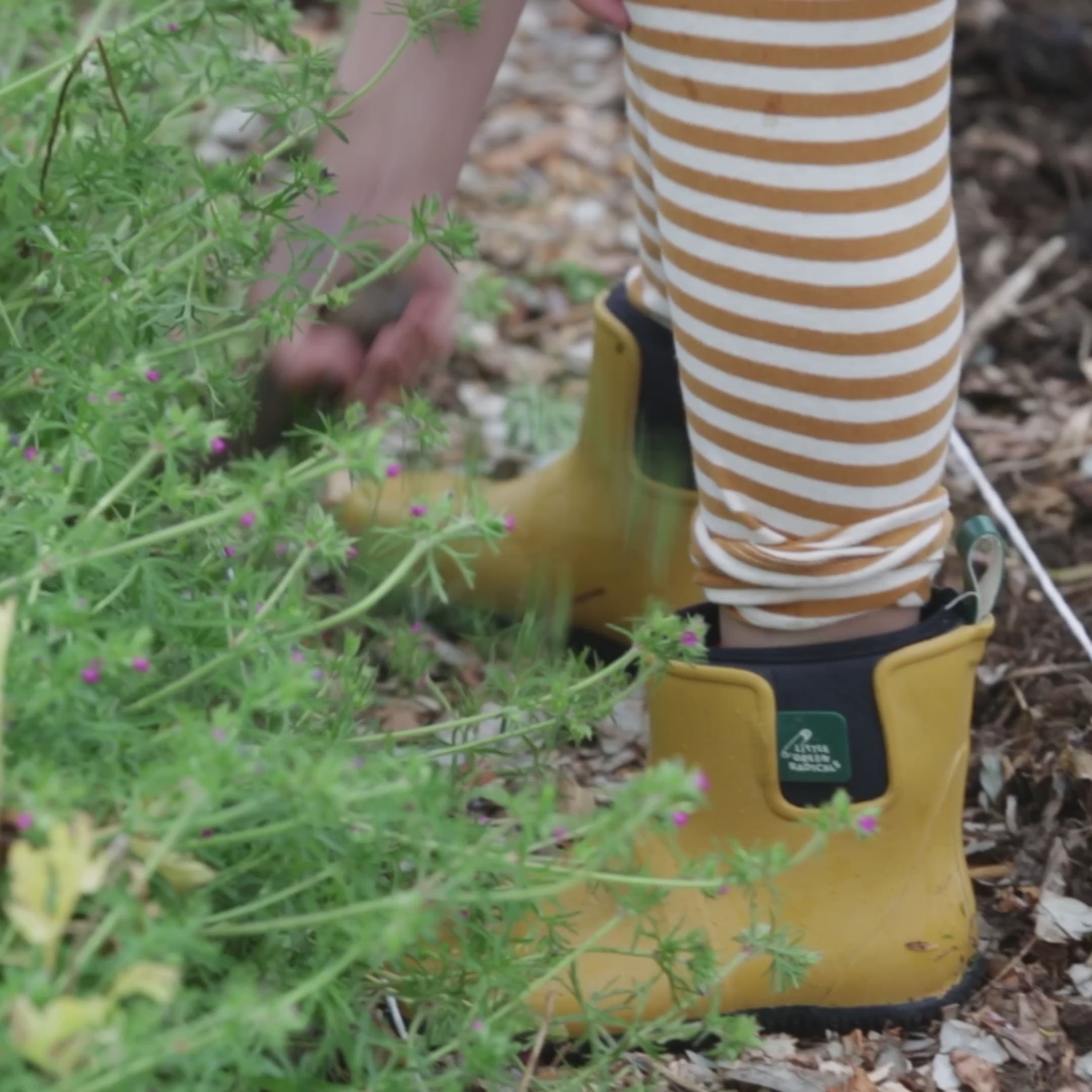 Load video: Gold Lined Ankle Rain Boots