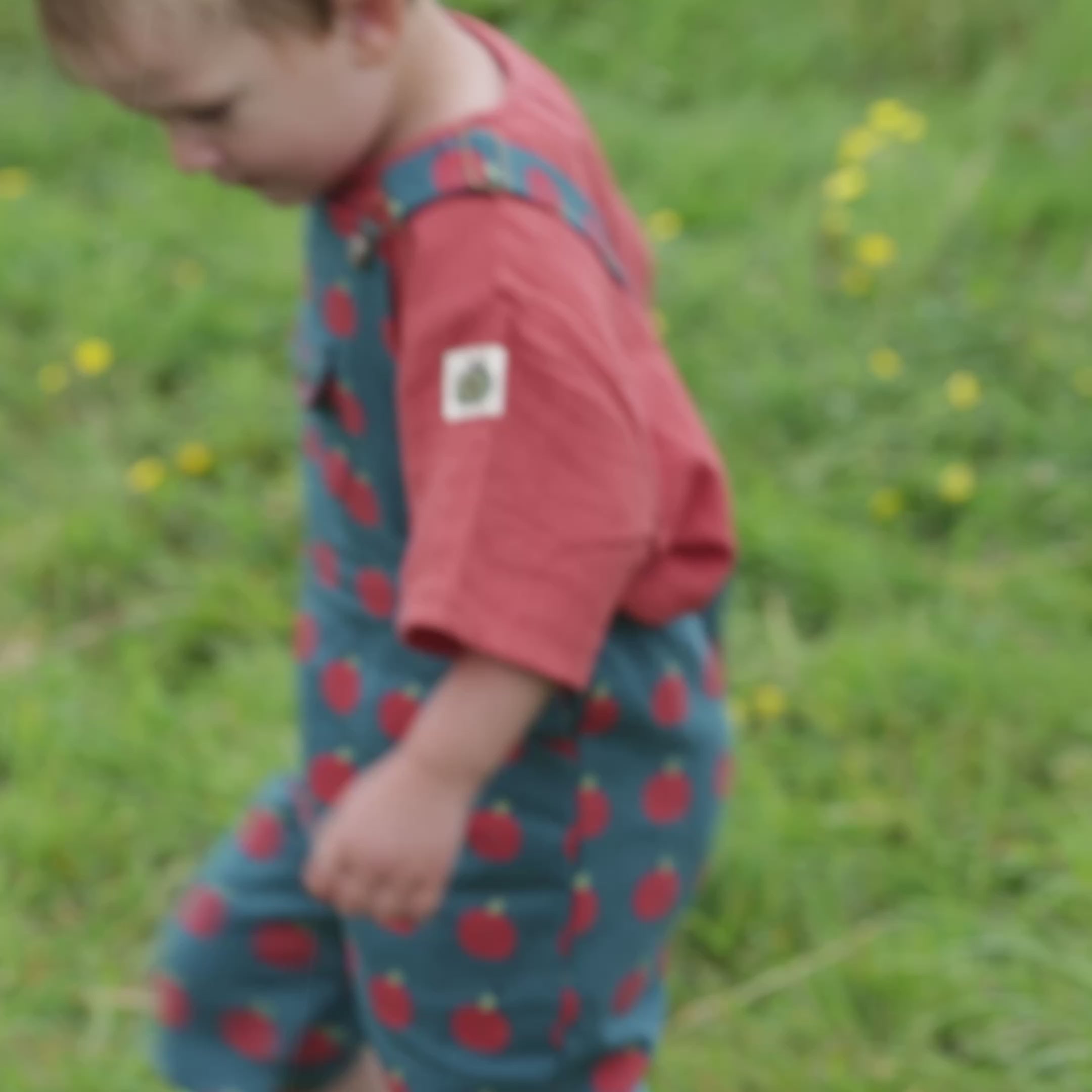 Load video: Burnt Ochre Short Sleeved Henley Top