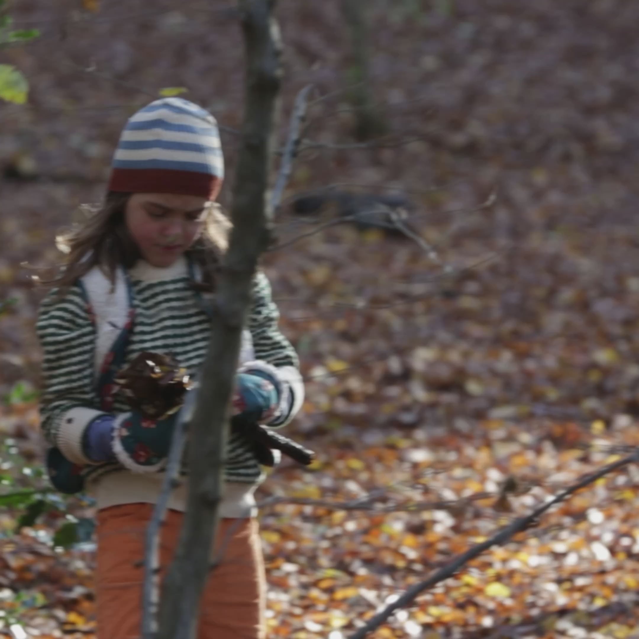 Load video: Hedgerow Sherpa Lined Reversible Gilet