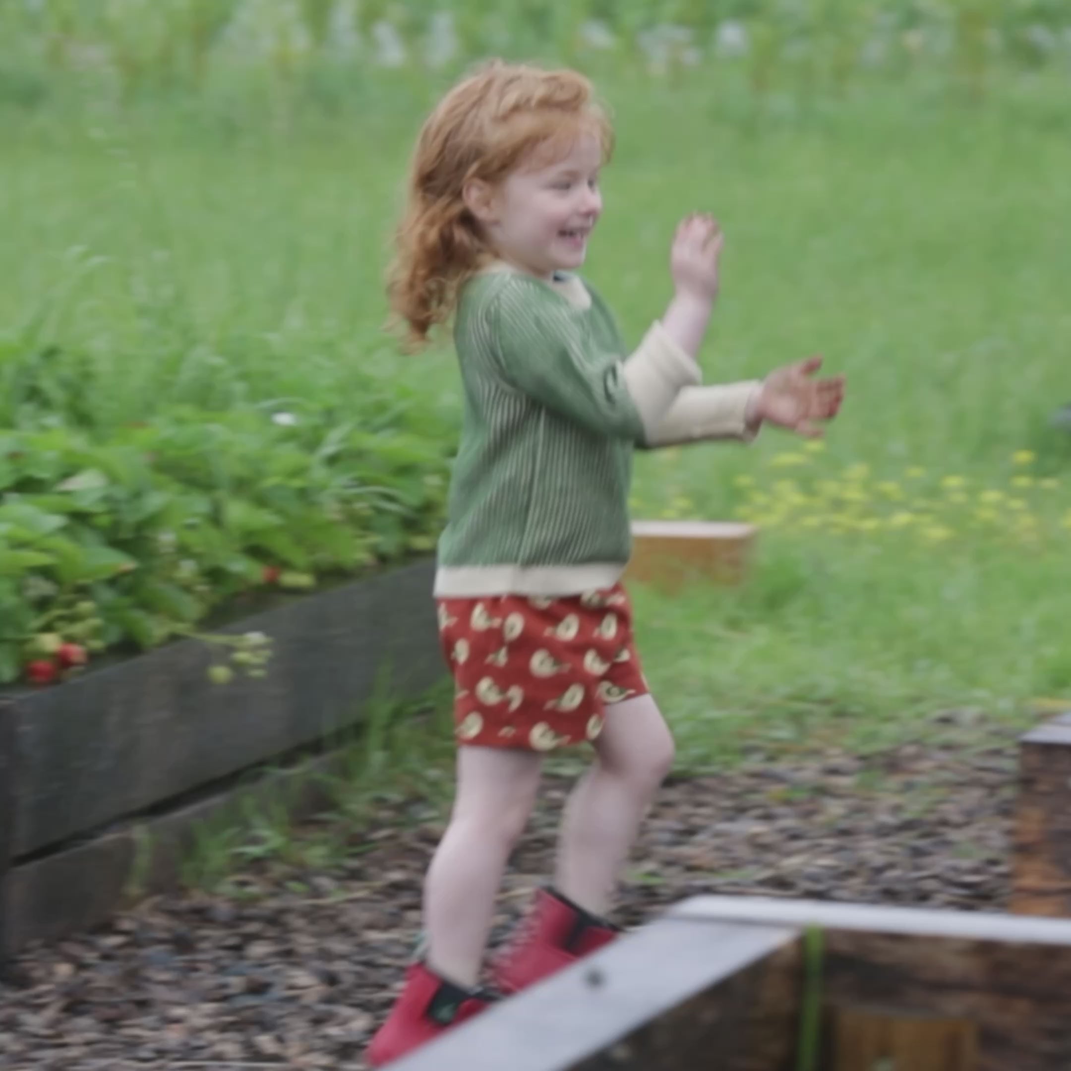Load video: Spring Birds By The Sea Shorts