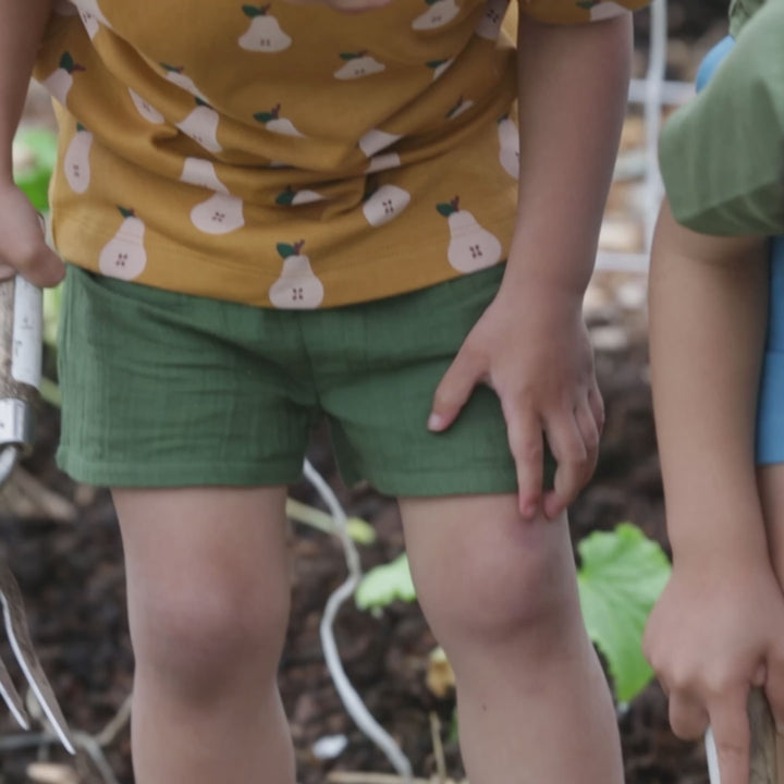 Summer Pears Short Sleeve T Shirt