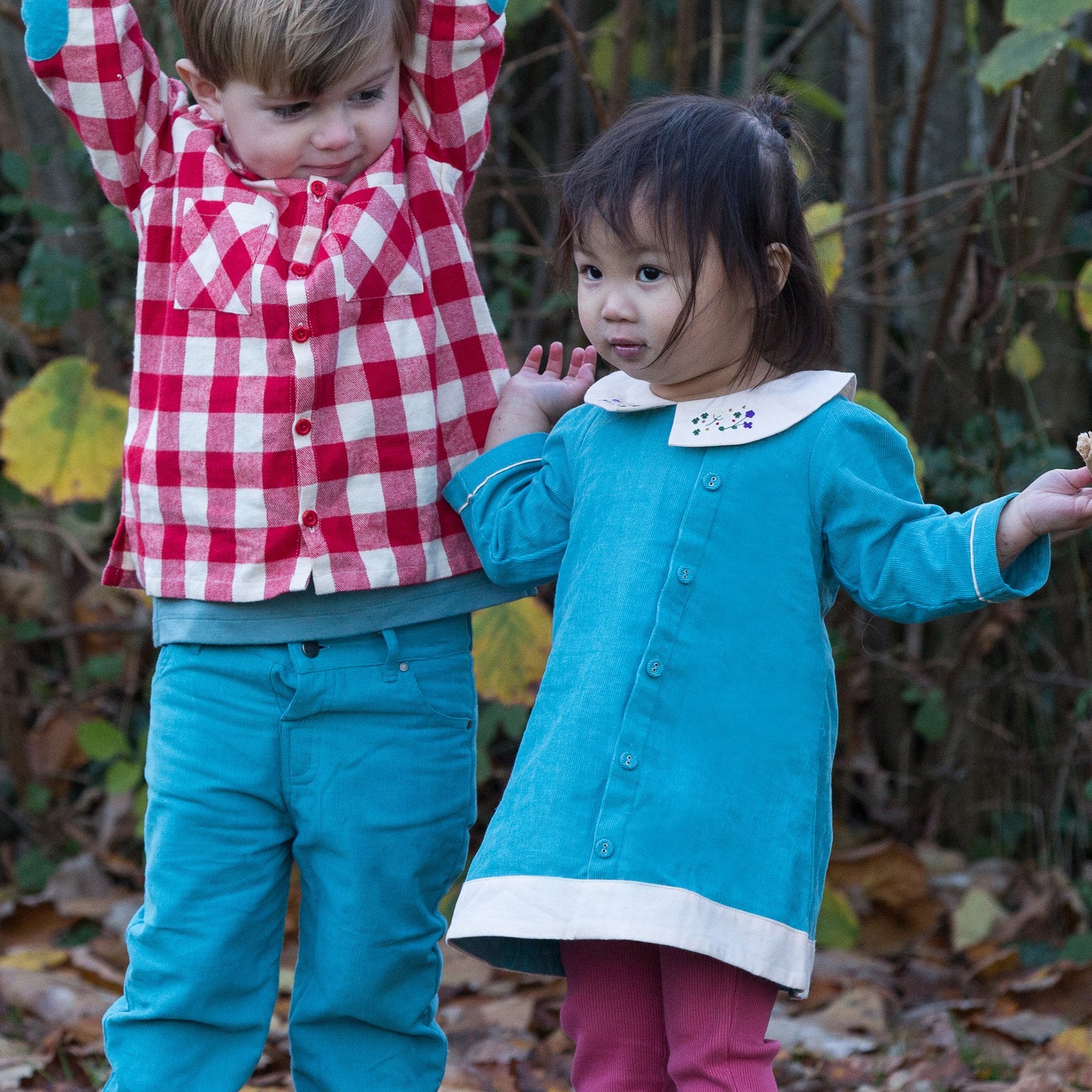 Mountain Blue Button Down Dress