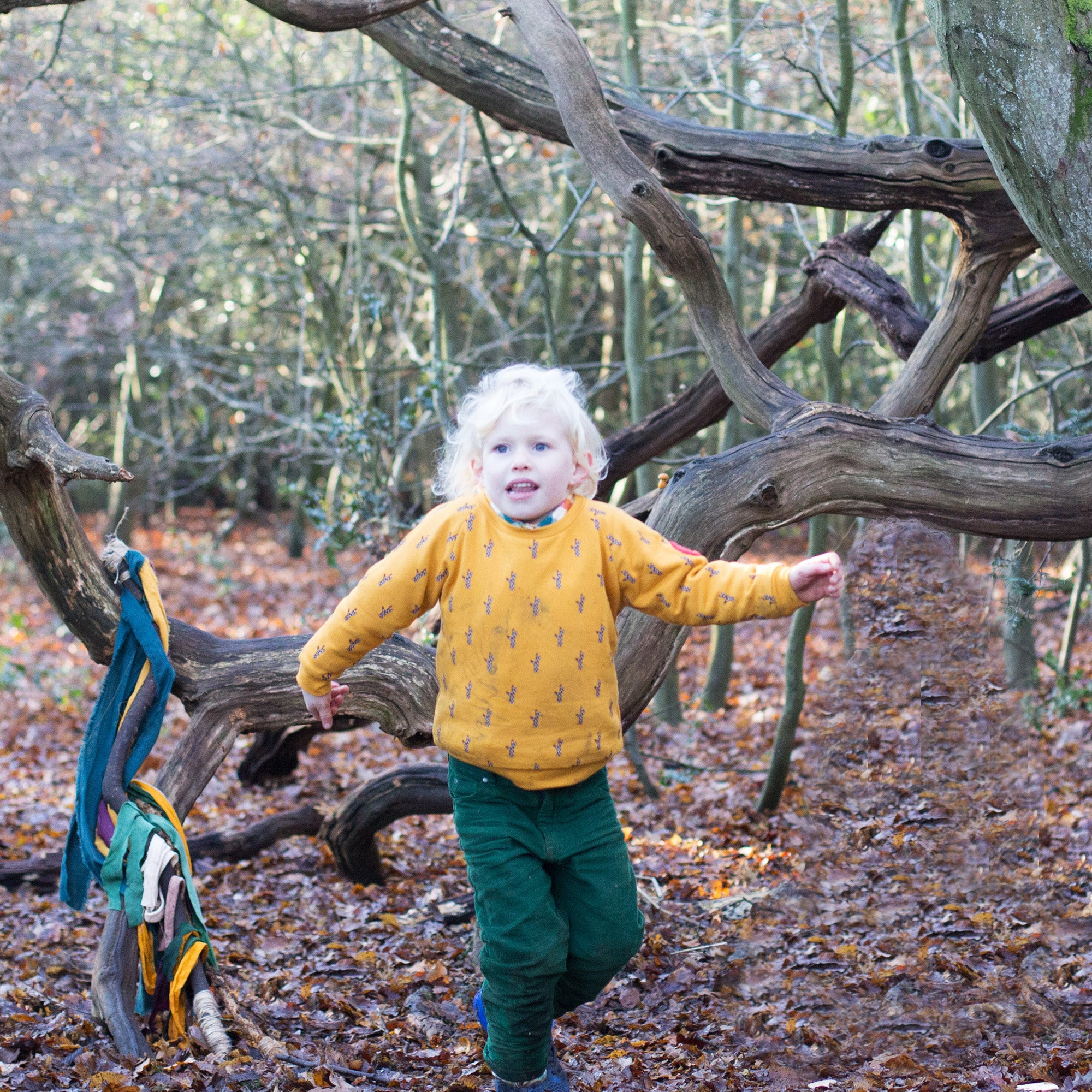 Golden Forest Sweatshirt