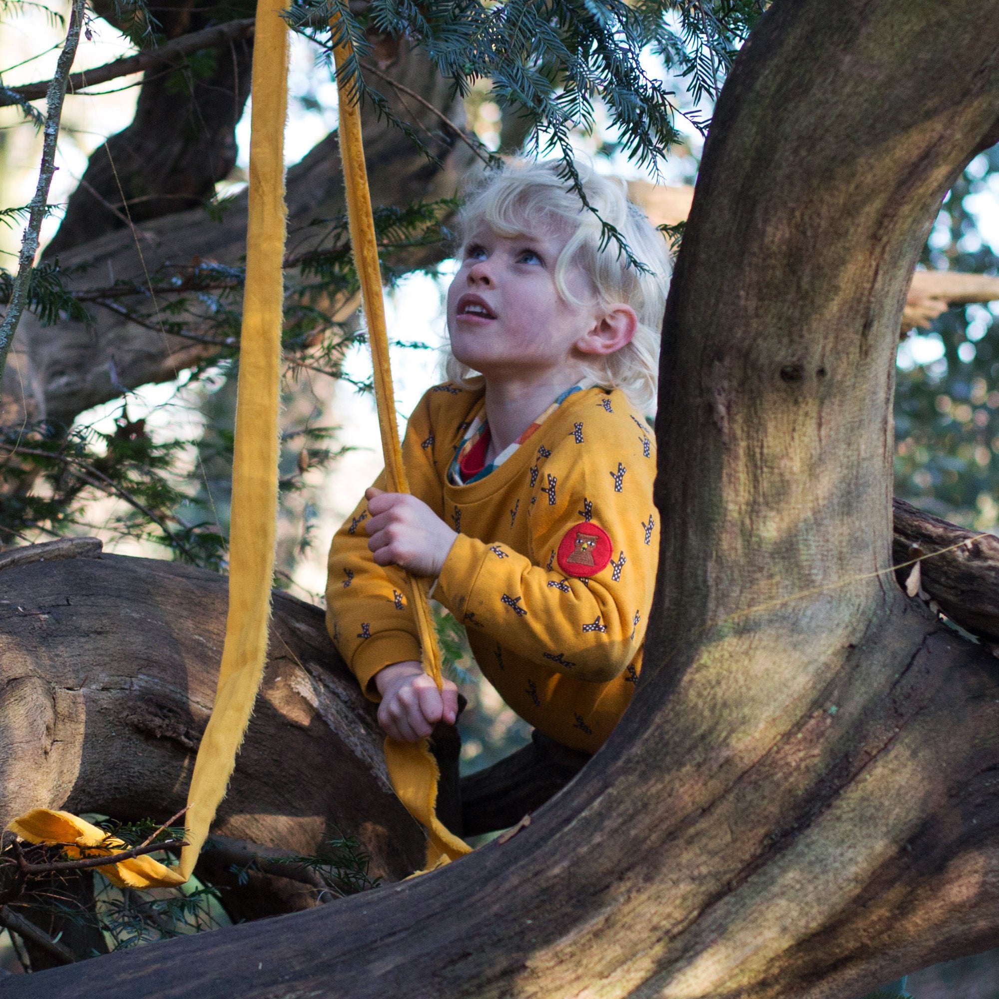 Golden Forest Sweatshirt