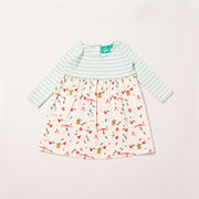 Toadstool Easy Peasy Dress