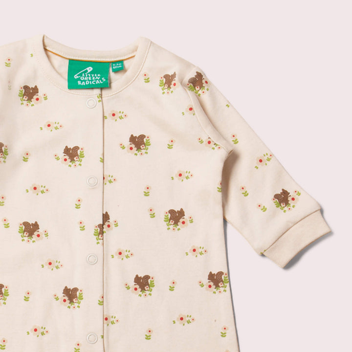 Autumn Squirrel Babygrow