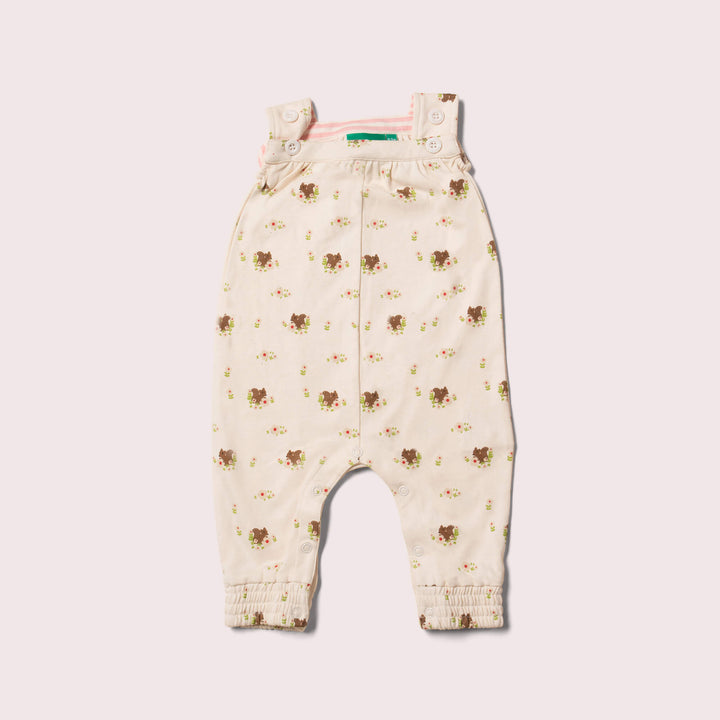 Autumn Squirrel Playdays Dungarees