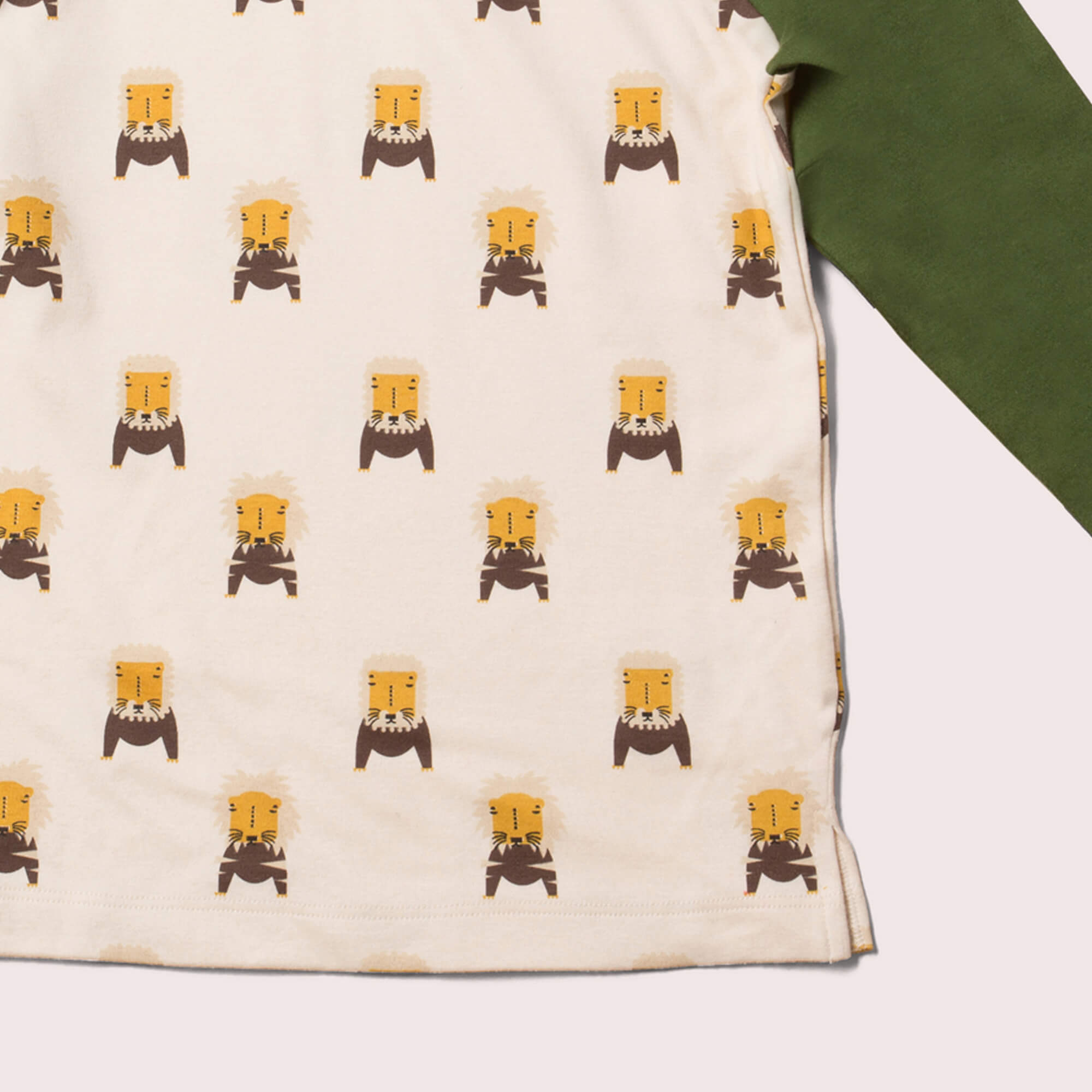Mountain Lions Raglan T-Shirt