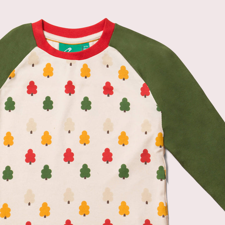 Autumn Trees Raglan T-Shirt