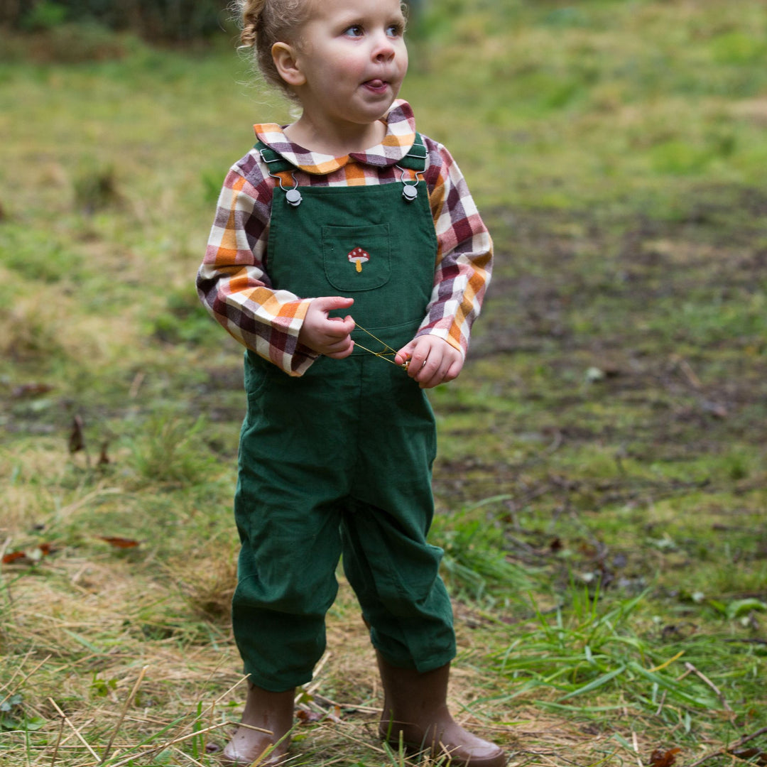 Autumn Leaves Checked Peter Pan Collar Blouse