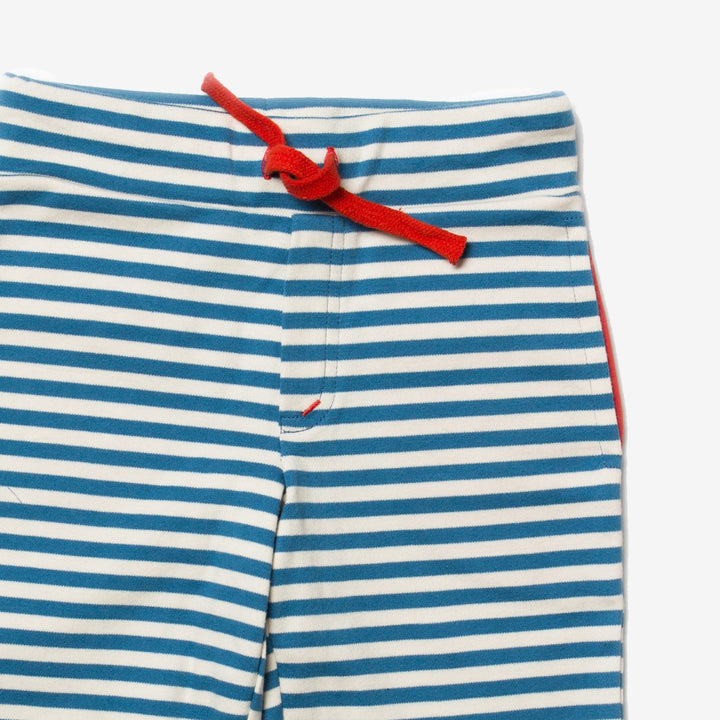 Ocean Blue Stripe Beach Shorts