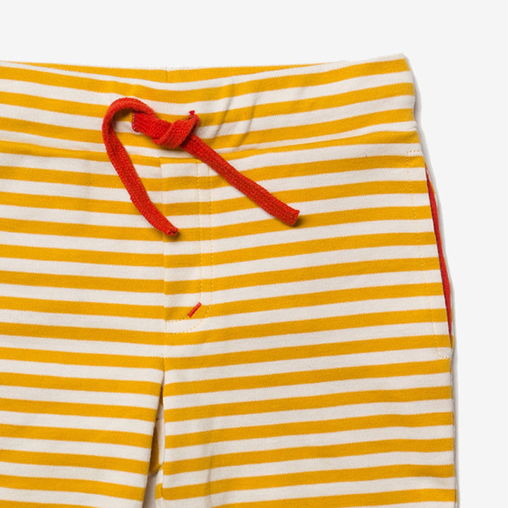 Gold Stripe Beach Shorts