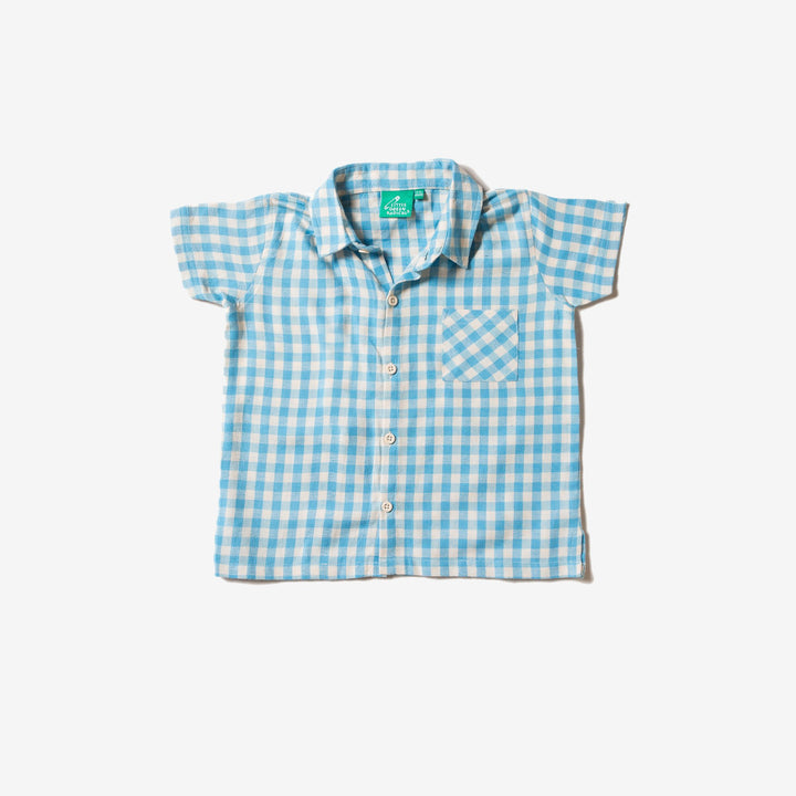 Corn Silk Blue Check Button Down Shirt