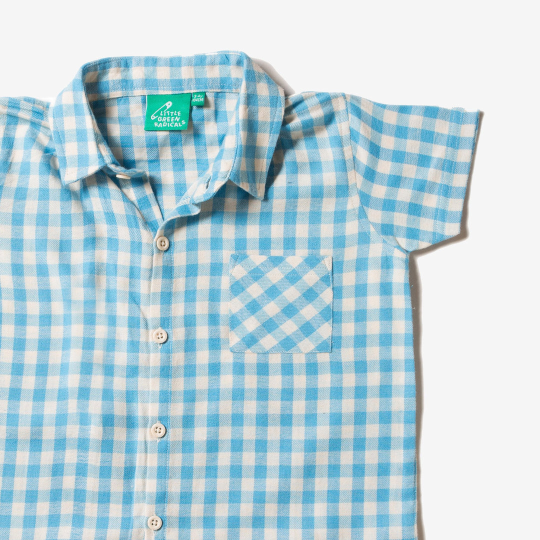 Corn Silk Blue Check Button Down Shirt