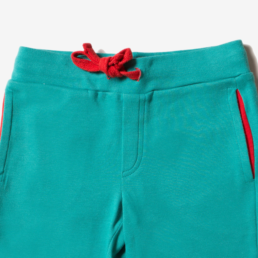 Peacock Blue Beach Shorts