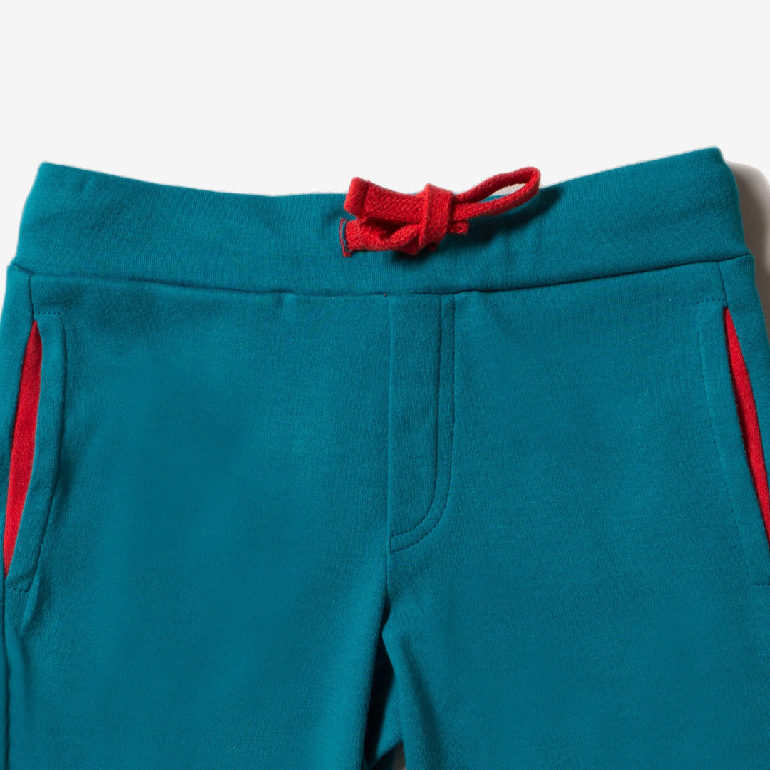 Teal Beach Shorts