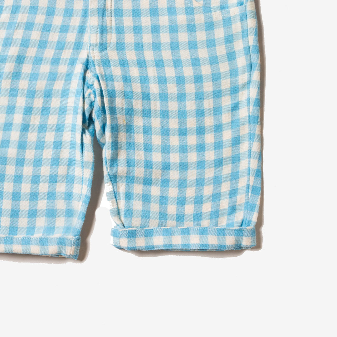 Corn Silk Blue Check Sunshine Shorts