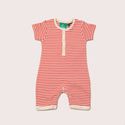 Nautical Shortie