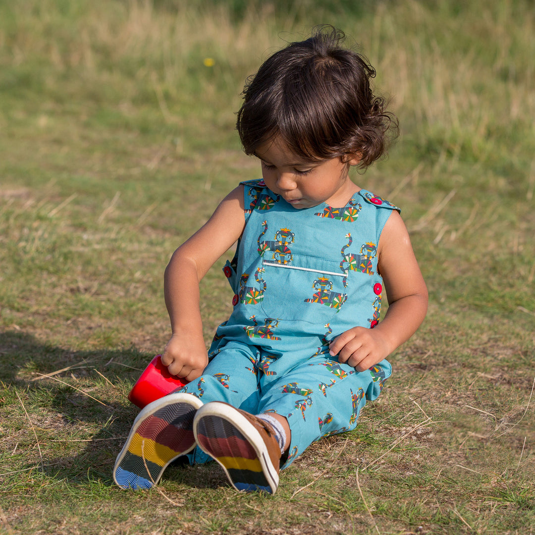 Rainbow Tigers Adventure Dungarees