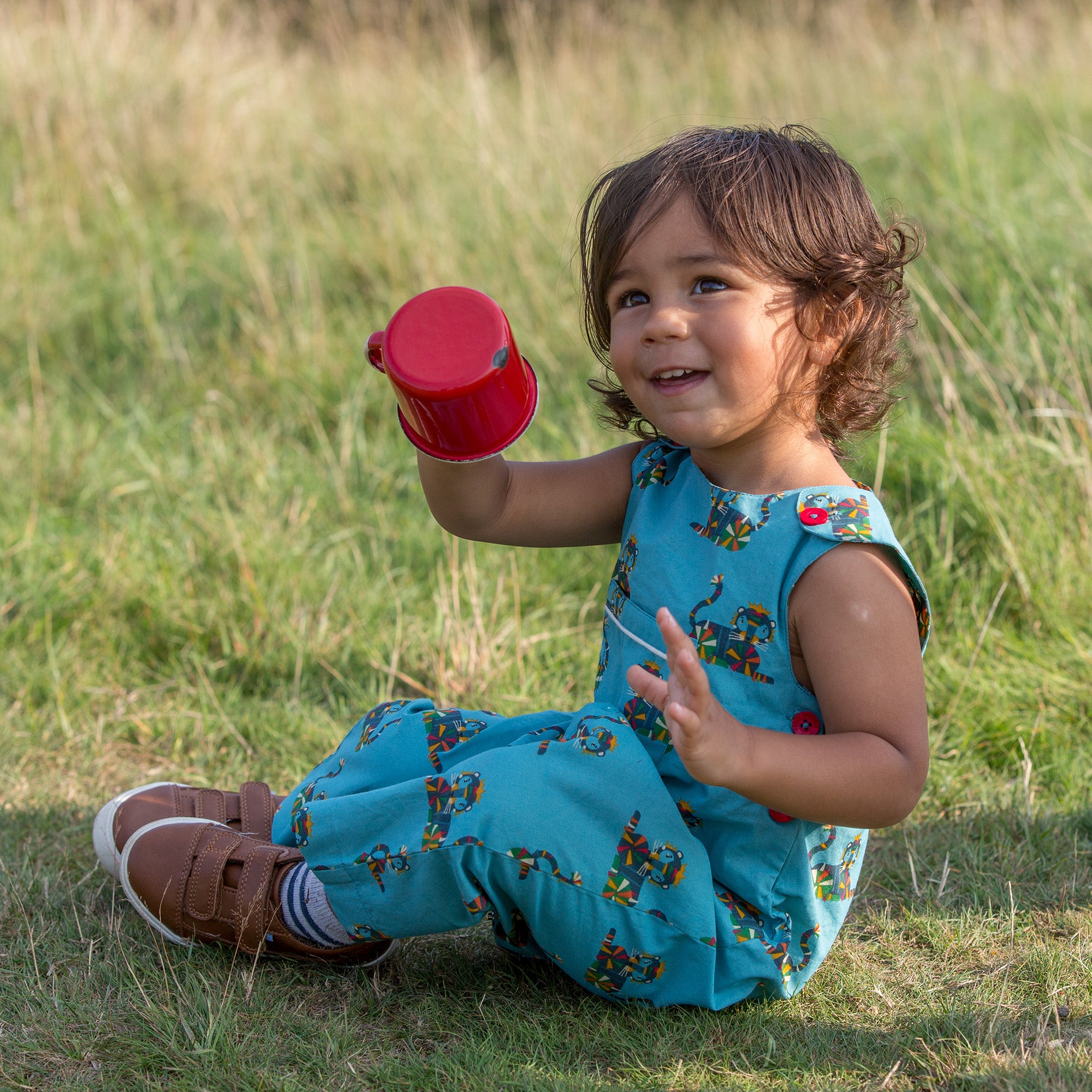 Rainbow Tigers Adventure Dungarees