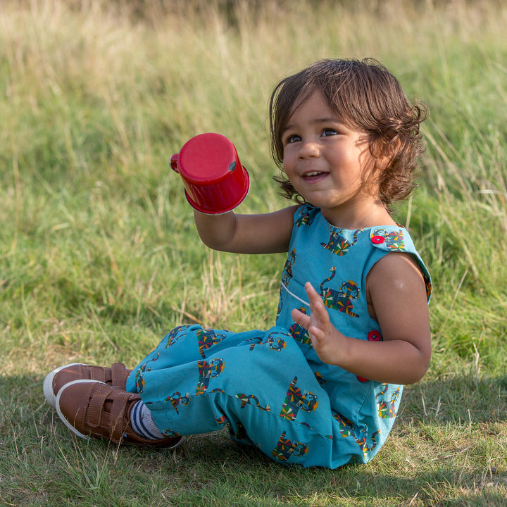 Rainbow Tigers Adventure Dungarees