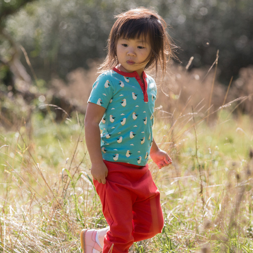 Summer Seagull Button Down T-shirt