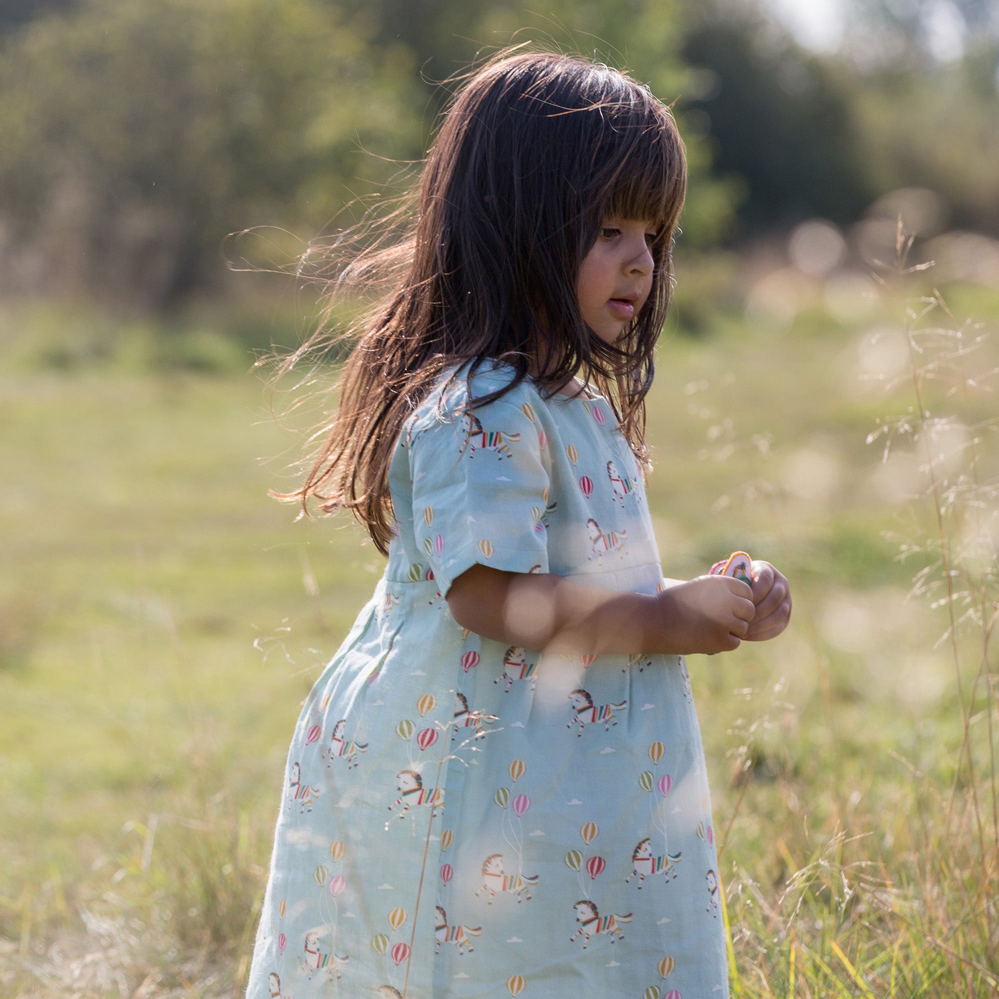 Wild Horses Summer Days Dress