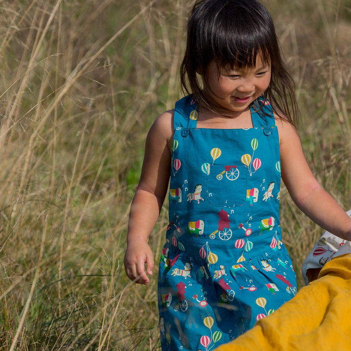 Journey To A Jamboree Pinafore Dress