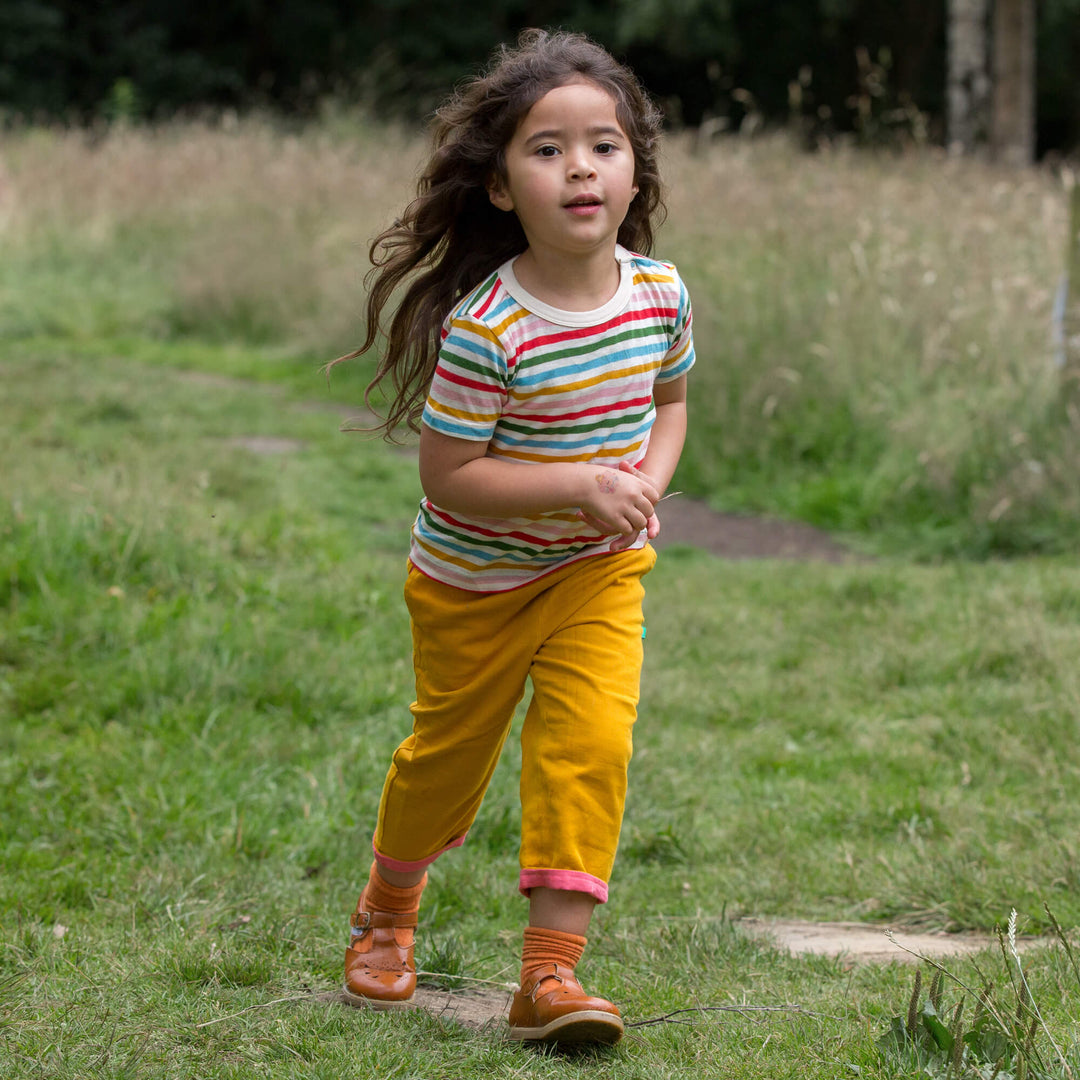 Rainbow Striped Short Sleeve T-Shirt