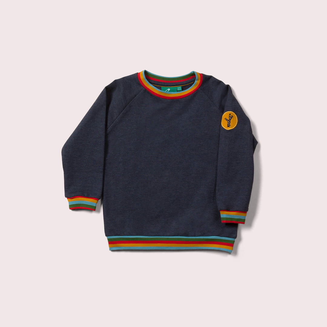 Navy Marl Raglan Rainbow Sweatshirt