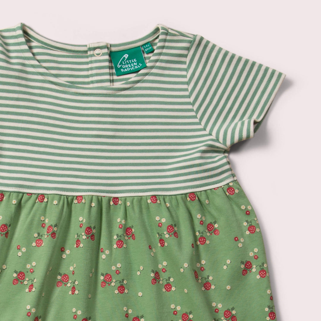 Grow Your Own Easy Peasy Dress Set