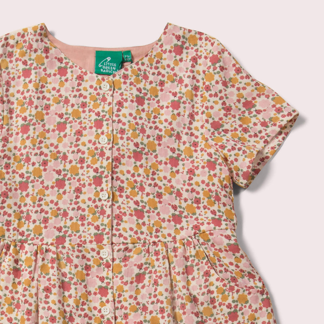 Ladybird Days Organic Button Dress