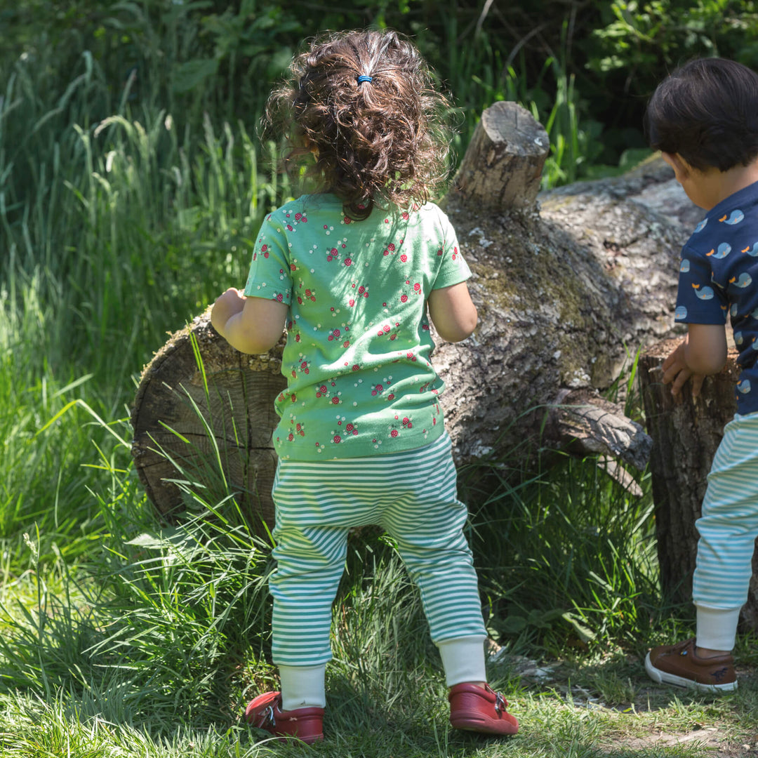 Grow Your Own T-Shirt & Jogger Playset