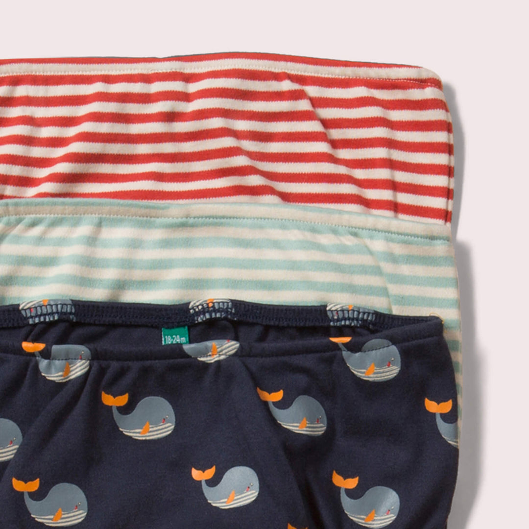 Whale Song Organic Underwear Set - 3 Pack