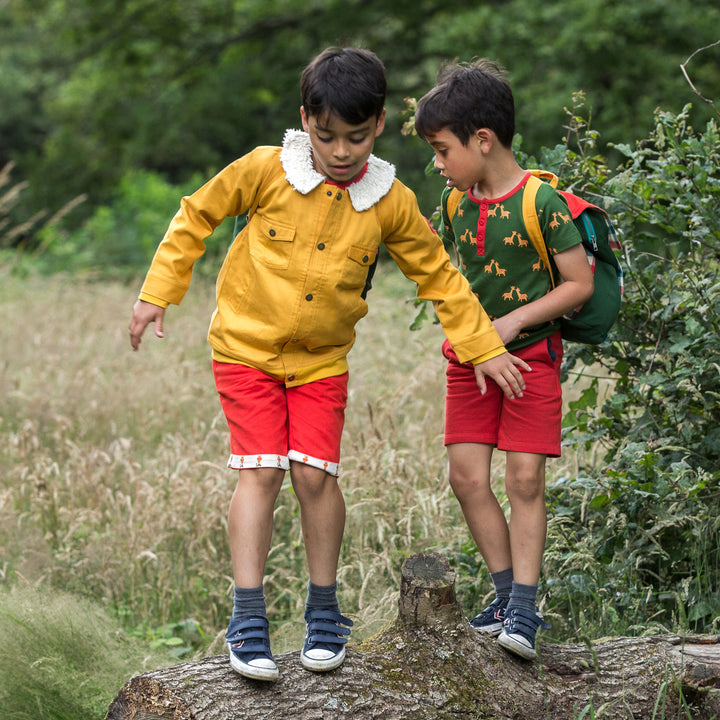 Gold Sherpa Collar Adventure Jacket