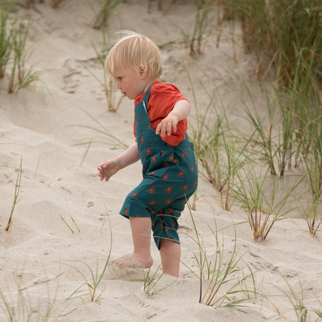 Navy Bears Dungaree Shorts