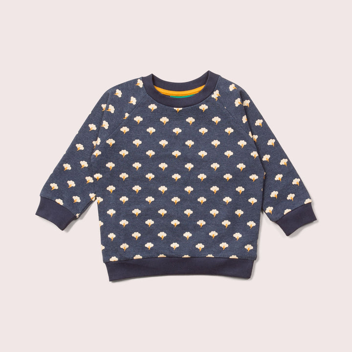 Thunder & Lightning Marl Raglan Sweatshirt