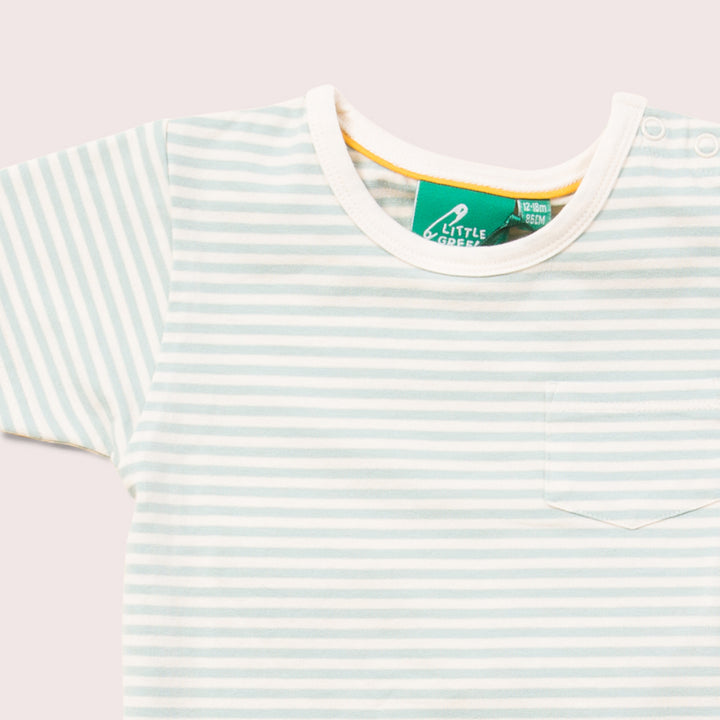 Blue Striped Organic Short Sleeve T-Shirt