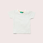 Blue Striped Organic Short Sleeve T-Shirt
