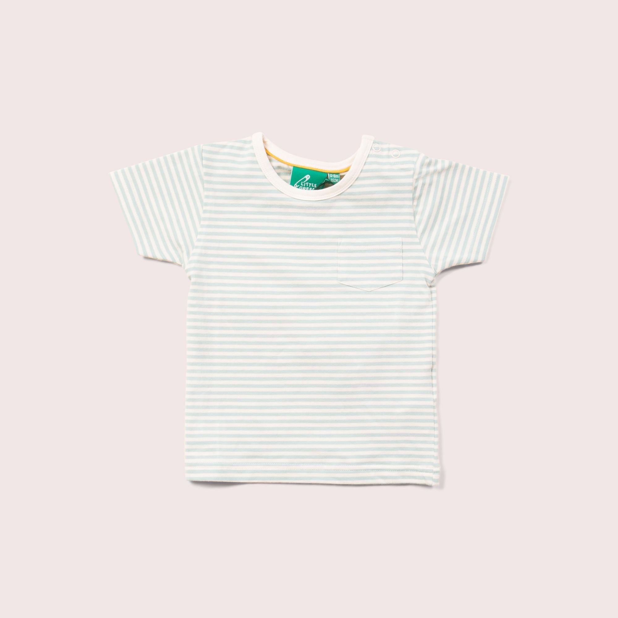 Blue Striped Organic Short Sleeve T-Shirt