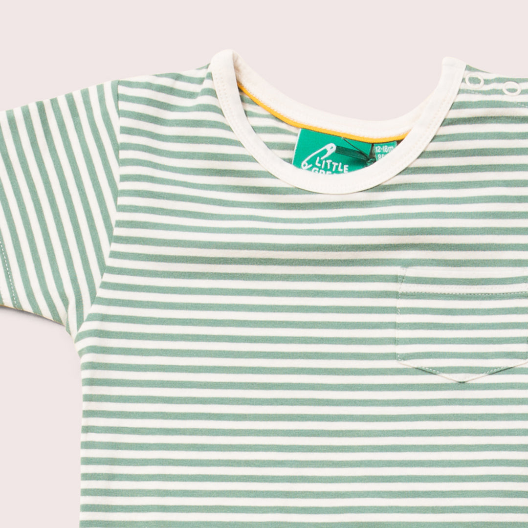 Green Striped Organic Short Sleeve T-Shirt